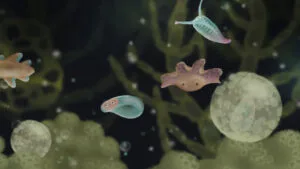 screenshot-jellies-of-the-deep