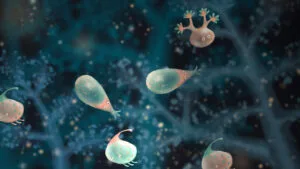 screenshot-jellies-of-the-deep